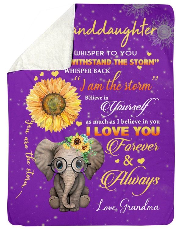 The Messages From Grandma With Love To Granddaughter Who Loves Elephan - Image 3