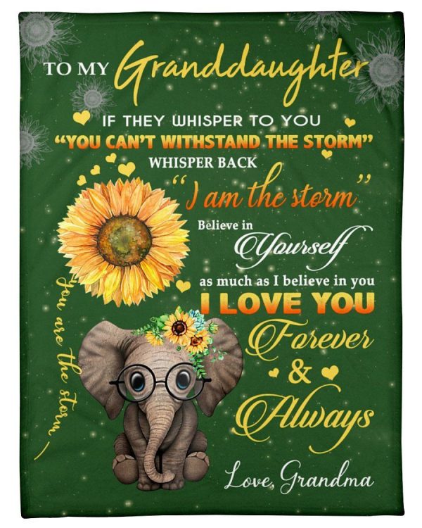 The Messages From Grandma With Love To Granddaughter Who Loves Elephan - Image 2