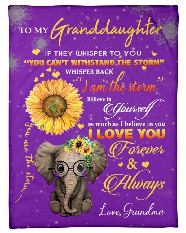 The Messages From Grandma With Love To Granddaughter Who Loves Elephan - Image 3